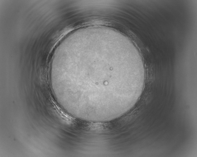 X0000076300828200610201544