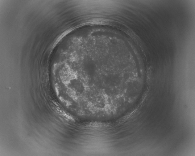 X0000076300829200610201544