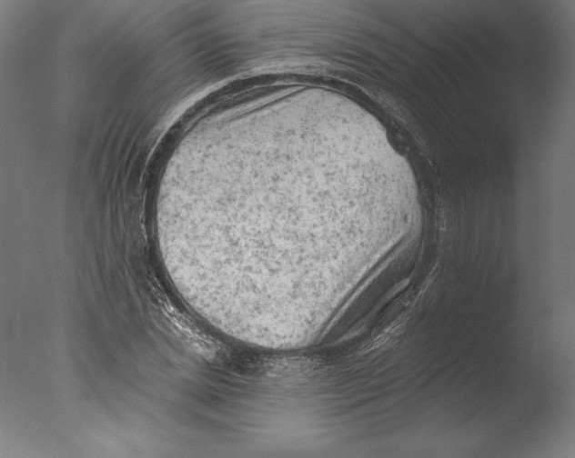 X0000076300830200610201544