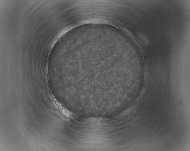 X0000076300831200610201544