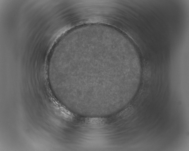 X0000076300832200610201544