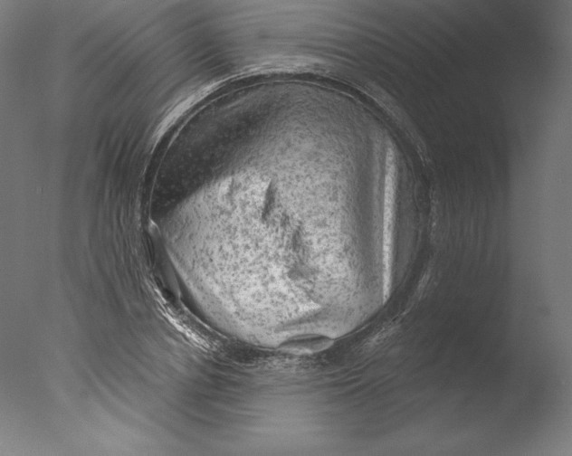 X0000076300834200610201544