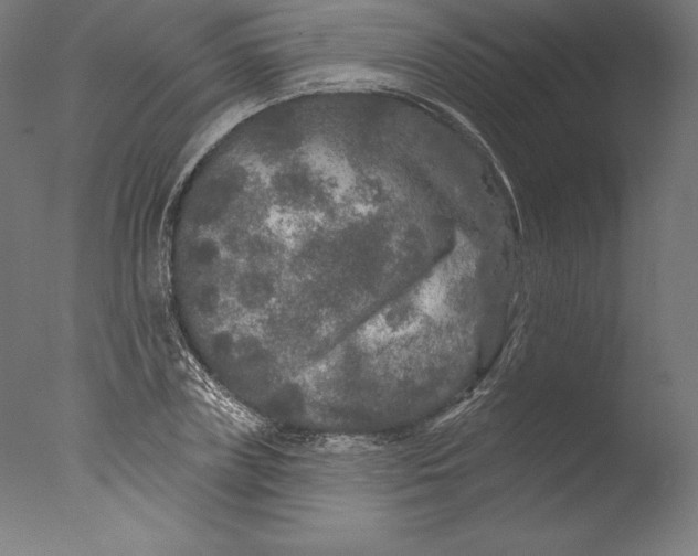 X0000076300835200610201544