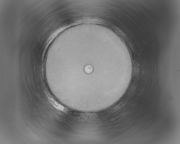 X0000076300836200610201544