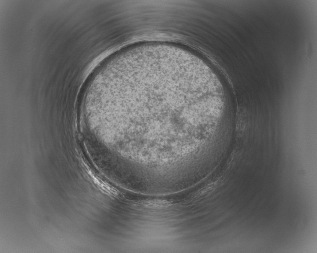 X0000076300837200610201544