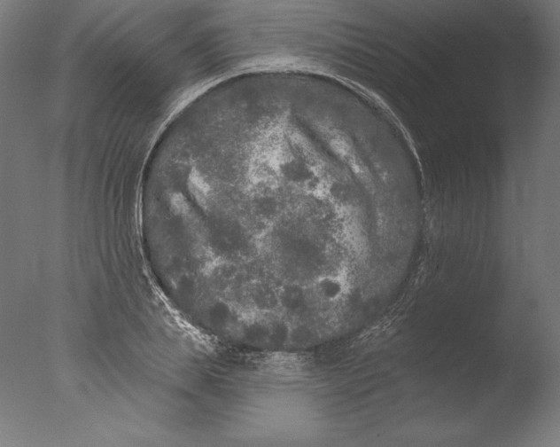 X0000076300839200610201544