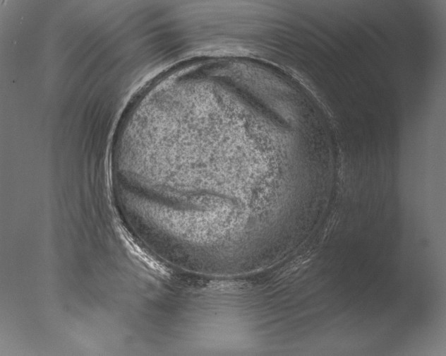 X0000076300840200610201544