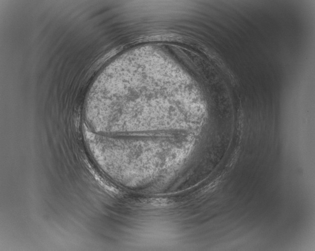 X0000076300841200610201544