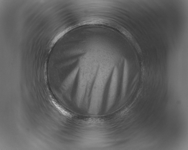 X0000076300842200610201544