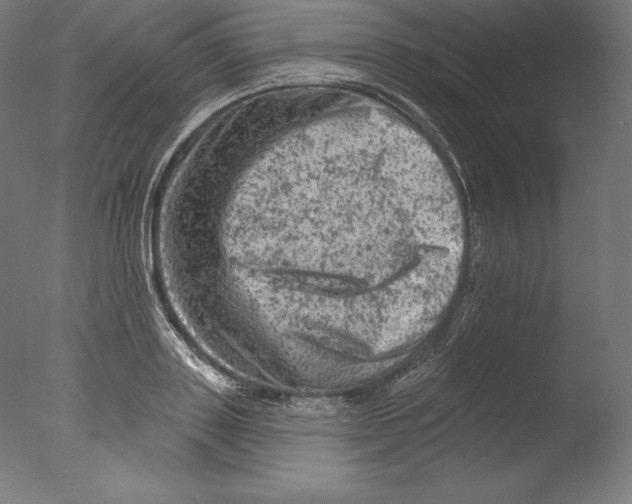 X0000076300843200610201544