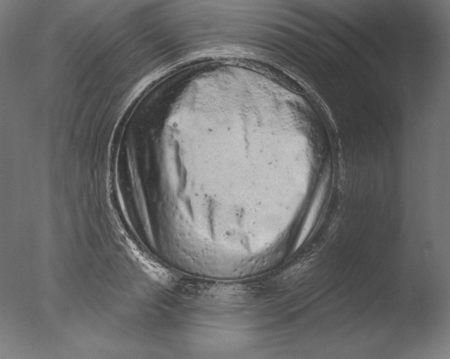 X0000076300845200610201544