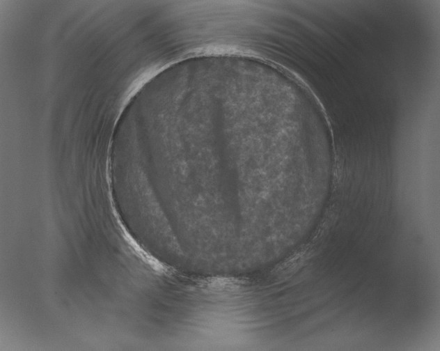 X0000076300847200610201544