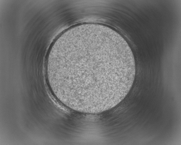 X0000076300848200610201544