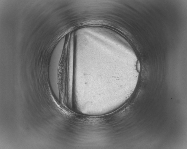 X0000076300849200610201544