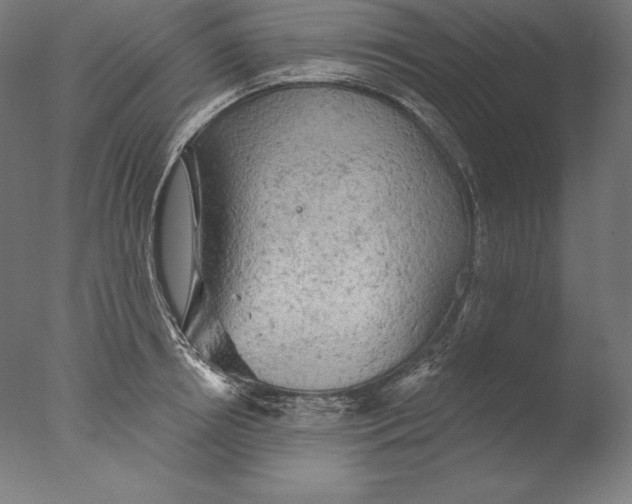 X0000076300850200610201544