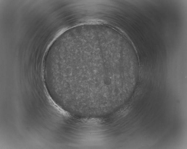 X0000076300851200610201544