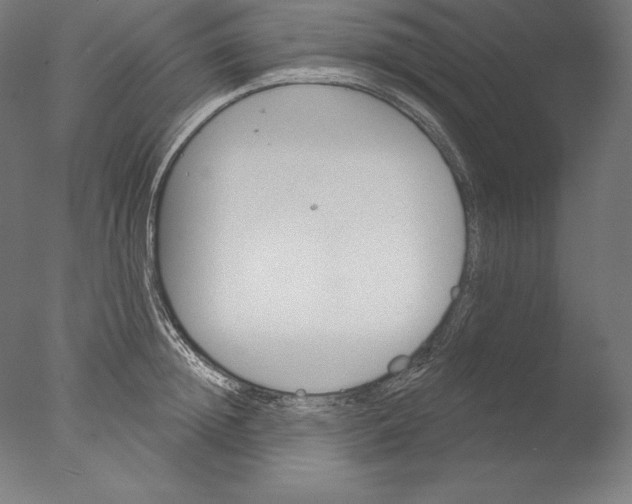 X0000076300852200610201545