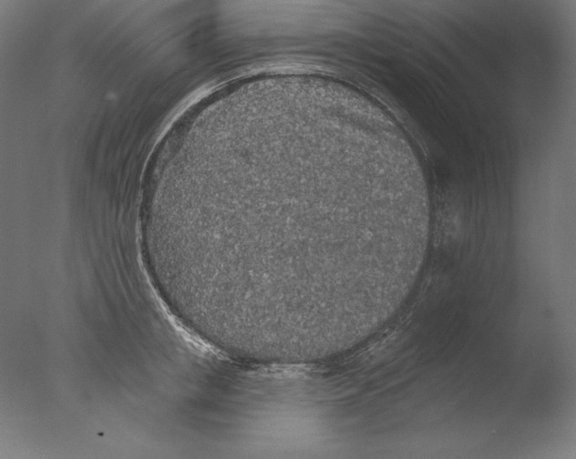 X0000076300853200610201545