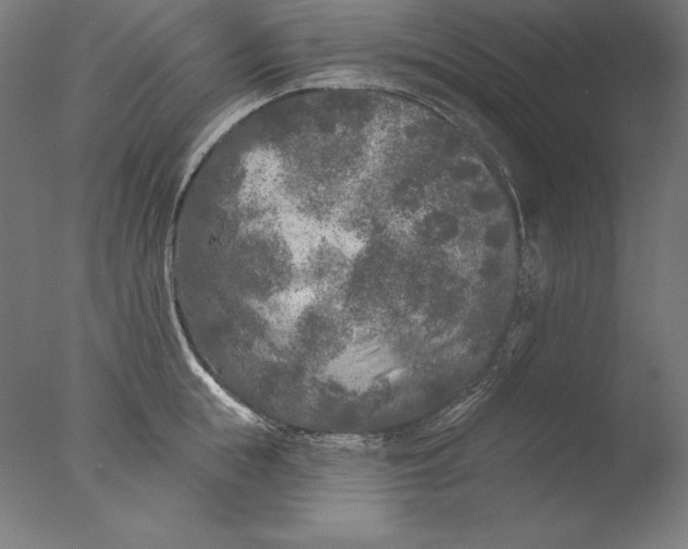 X0000076300855200610201545