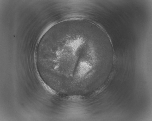 X0000076300859200610201545