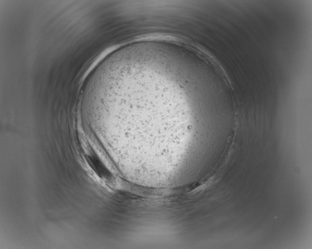 X0000076300860200610201545