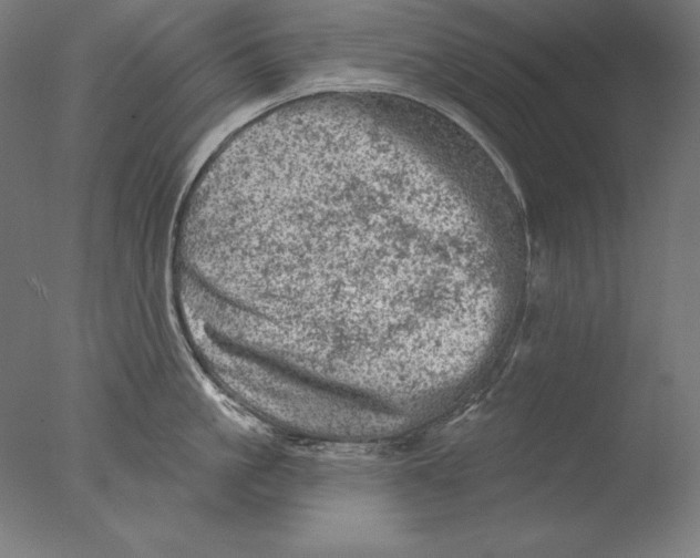 X0000076300861200610201545