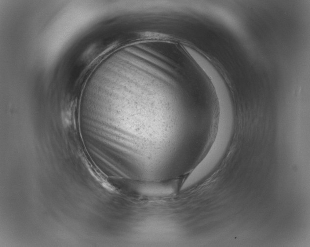 X0000076300862200610201545