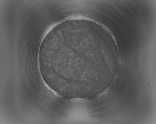 X0000076300863200610201545