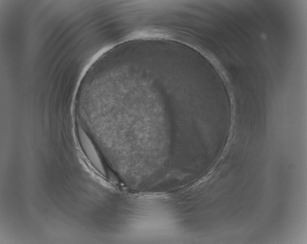 X0000076300864200610201545