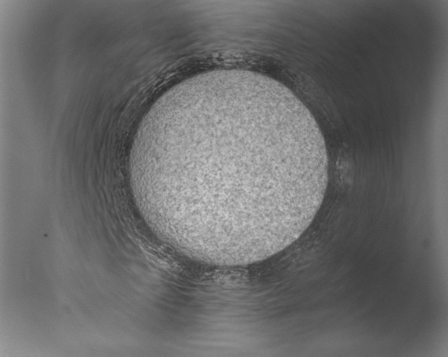 X0000076300865200610201544