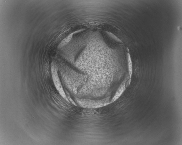 X0000076300866200610201544