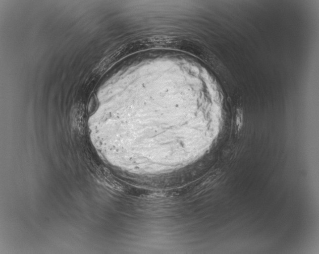 X0000076300867200610201544