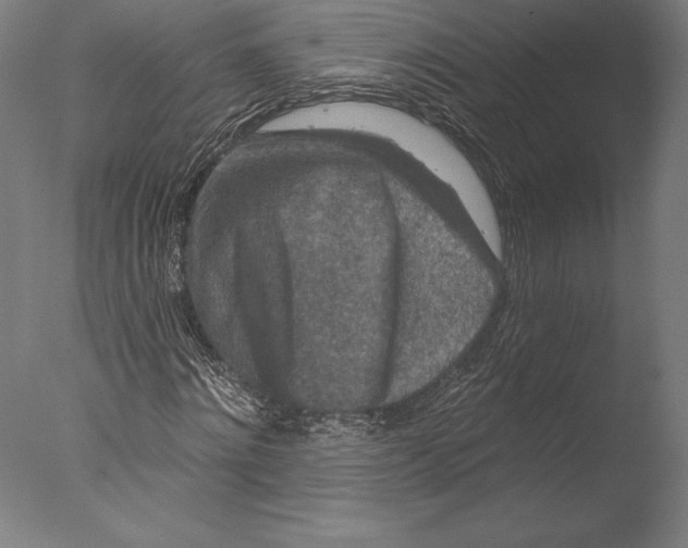 X0000076300868200610201544