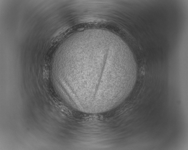 X0000076300869200610201544