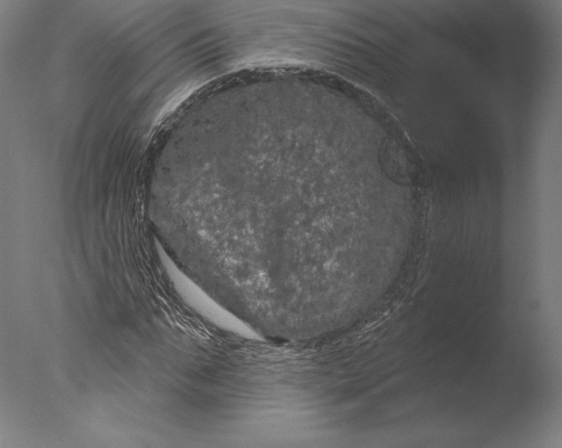 X0000076300871200610201544