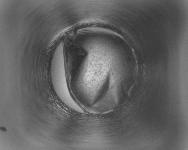 X0000076300872200610201544