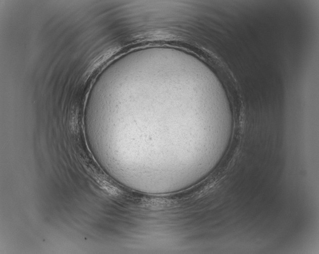 X0000076300873200610201544