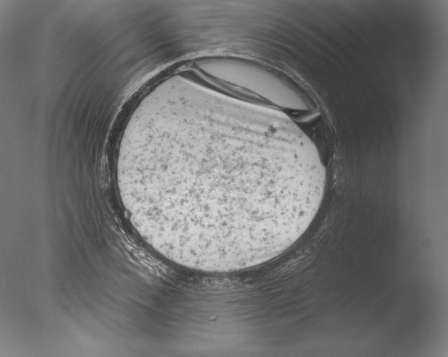 X0000076300876200610201544