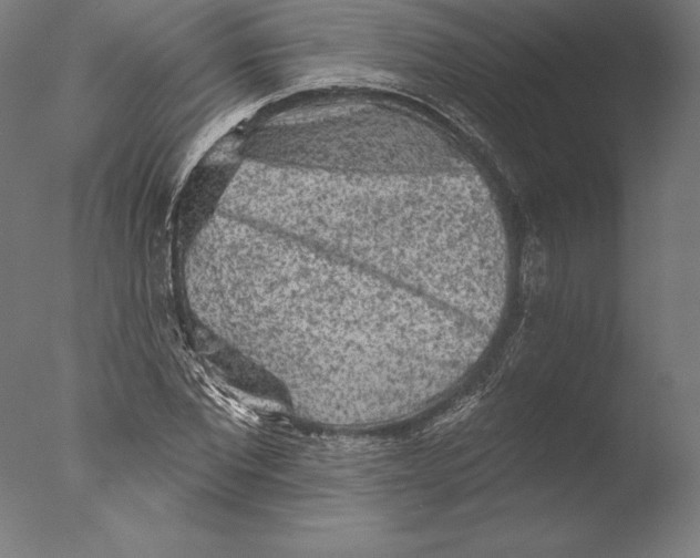 X0000076300877200610201544