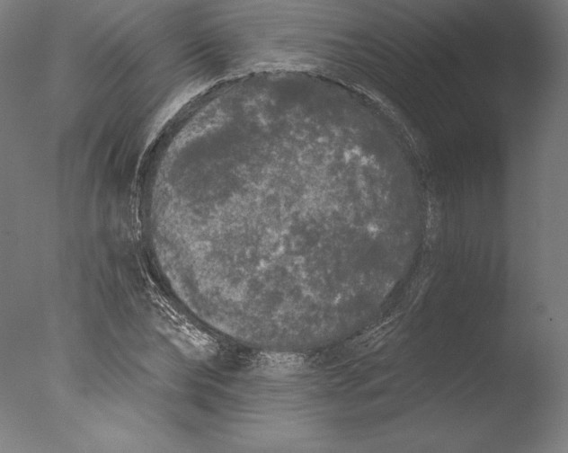 X0000076300878200610201544