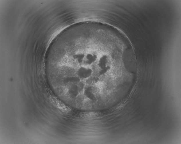 X0000076300879200610201544