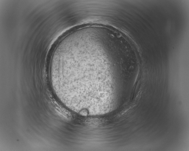 X0000076300880200610201544