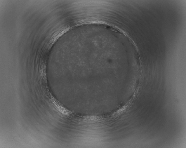 X0000076300881200610201544