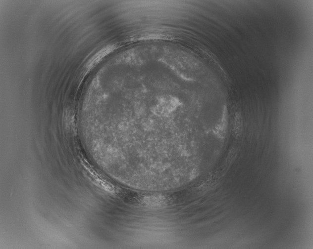 X0000076300882200610201544