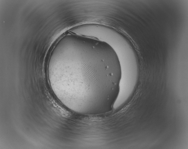 X0000076300884200610201544