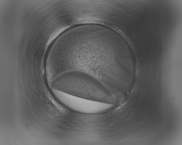 X0000076300885200610201544