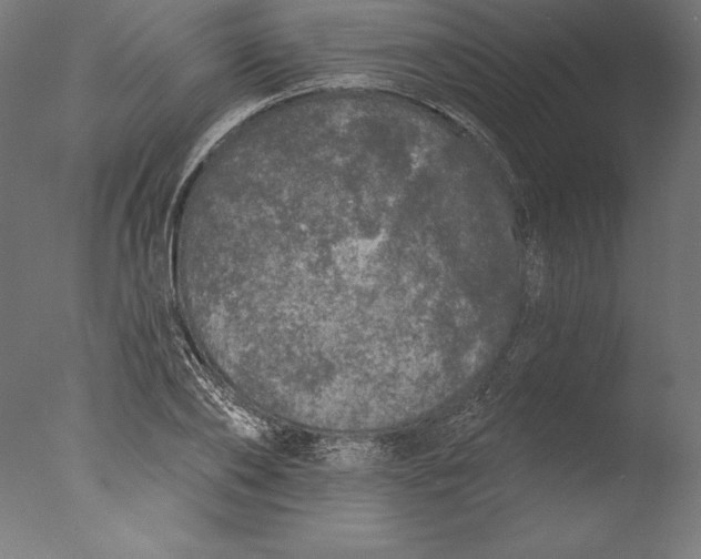 X0000076300886200610201544