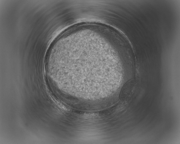 X0000076300887200610201544