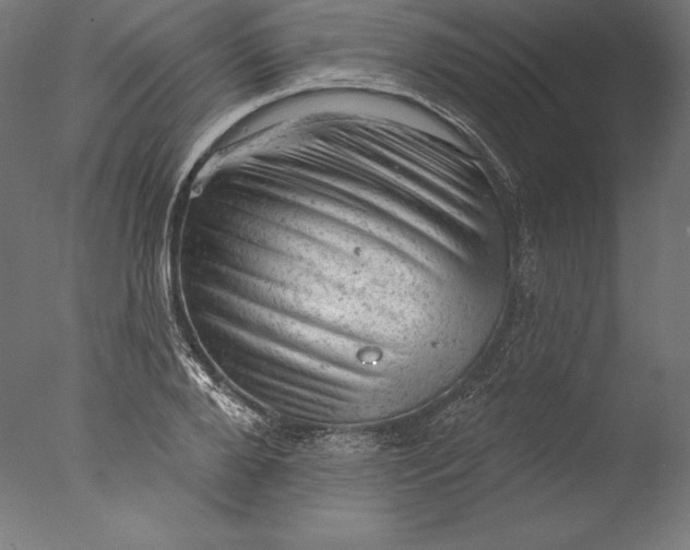 X0000076300888200610201544