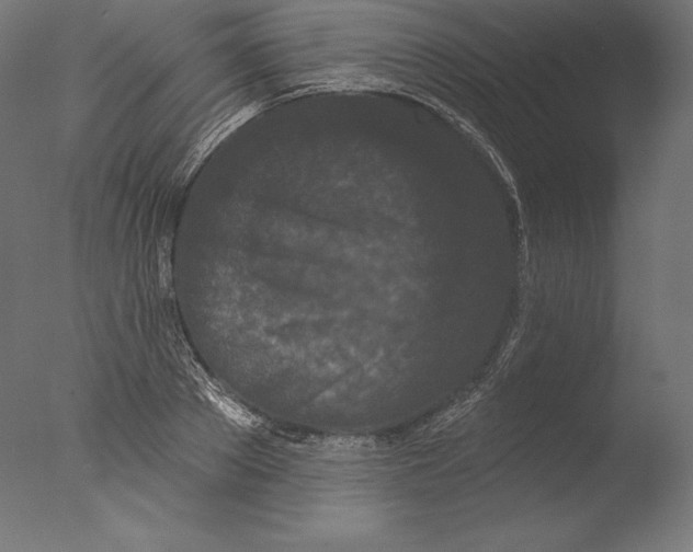 X0000076300889200610201544